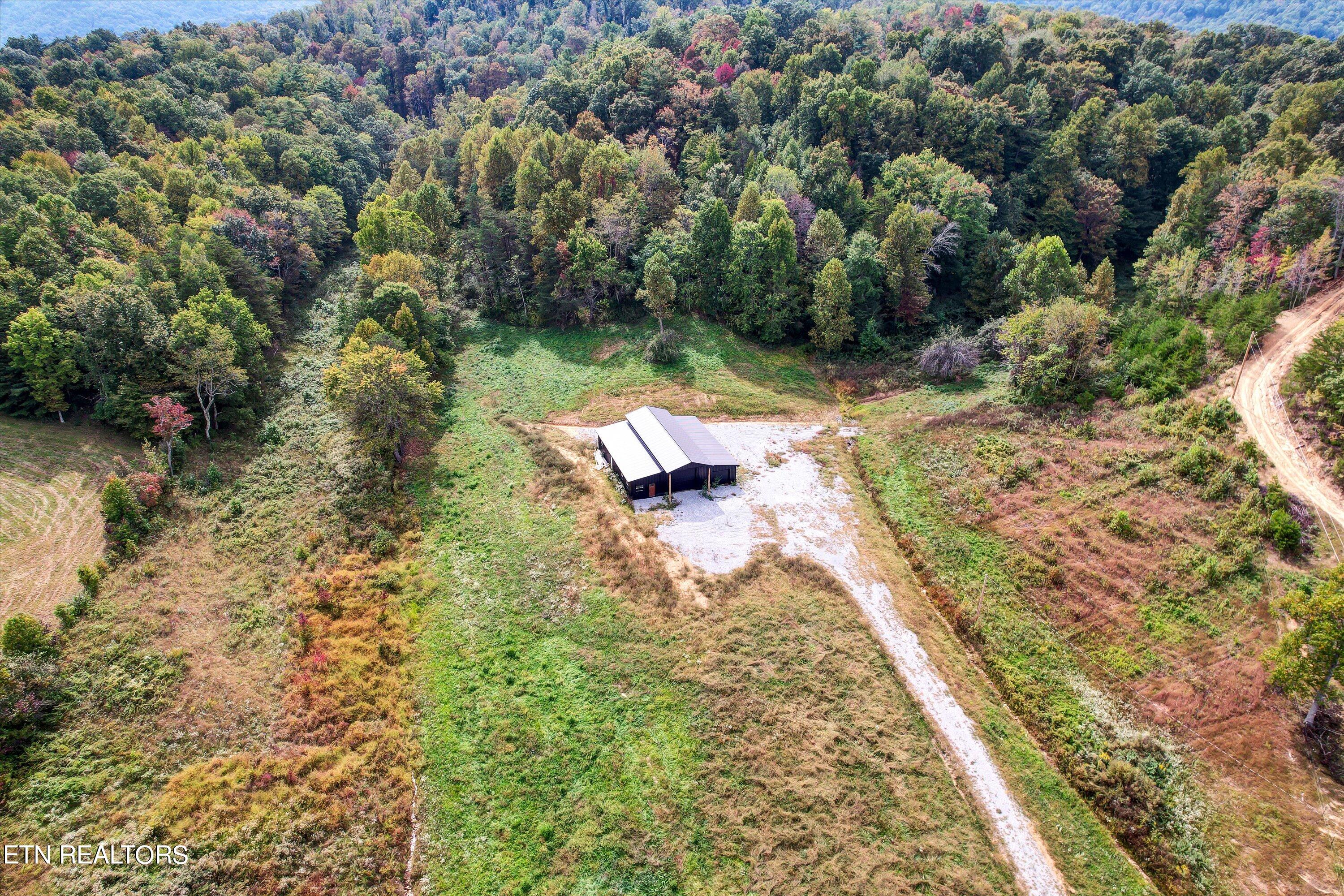 148 Herbert Shannon Road Sunbright, TN 37872 - Photo 19 of 34 19-148 Herbert Shannon Rd-19