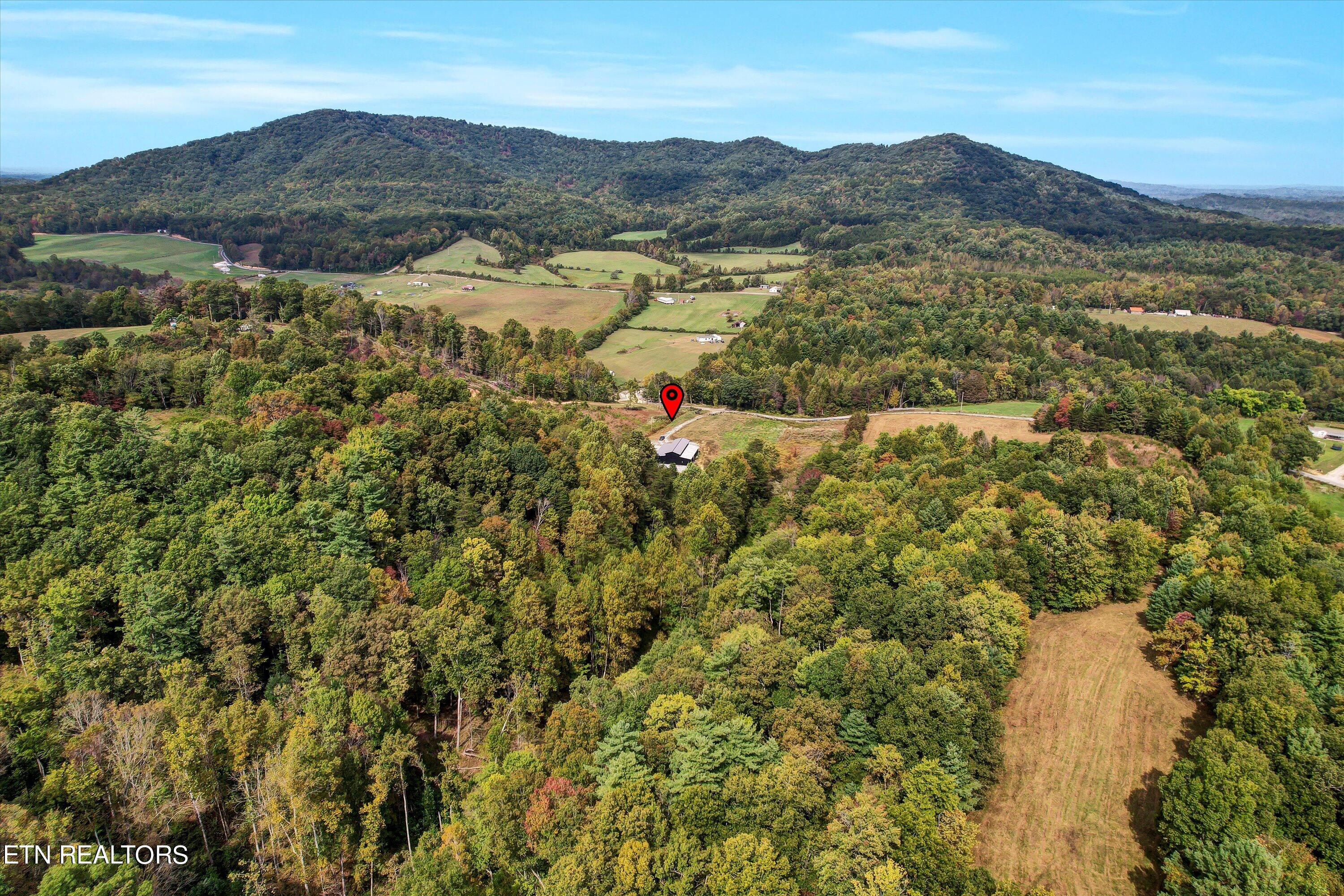 148 Herbert Shannon Road Sunbright, TN 37872 - Photo 31 of 34 39-148 Herbert Shannon Rd-39