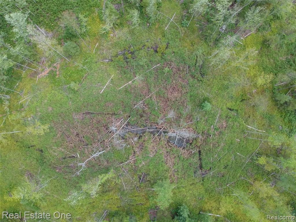 0 South Morrison Road West Branch, MI 48661 - Photo 22 of 38