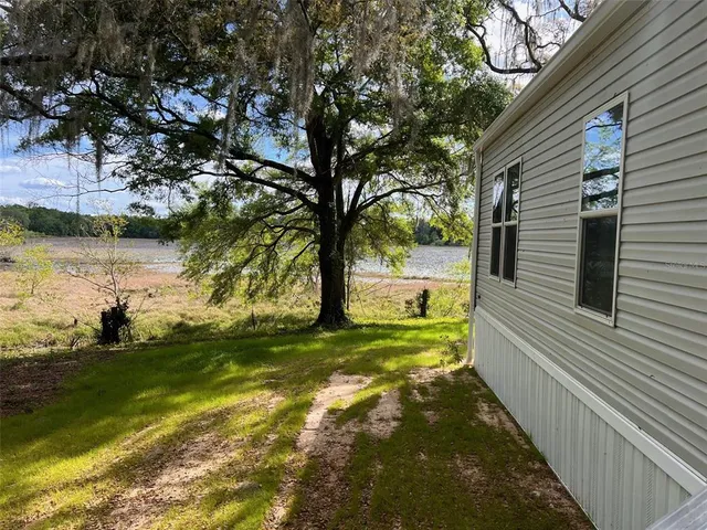 a view of a yard in front of a house with a large tree