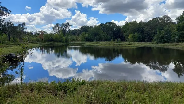 $3,060,018 | Tbd Tbd Fm-195, Bagwell, TX 75412