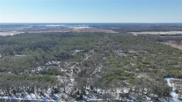 $3,060,018 | Tbd Tbd Fm-195, Bagwell, TX 75412