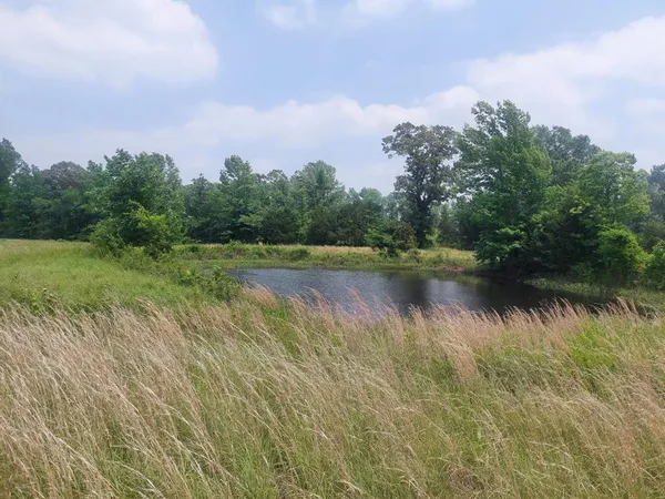 $3,060,018 | Tbd Tbd Fm-195, Bagwell, TX 75412