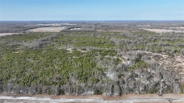 $3,060,018 | Tbd Tbd Fm-195, Bagwell, TX 75412