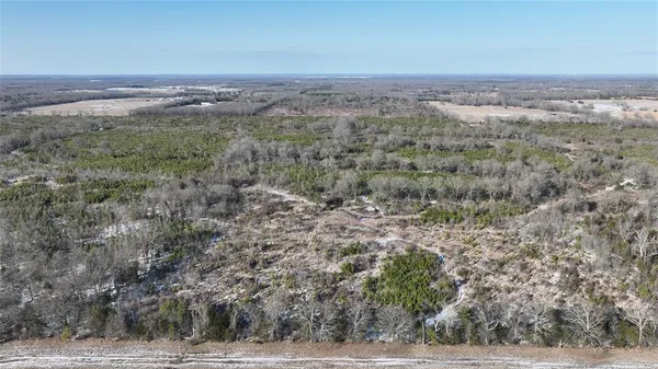$3,060,018 | Tbd Tbd Fm-195, Bagwell, TX 75412