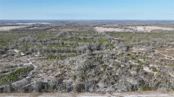 $3,060,018 | Tbd Tbd Fm-195, Bagwell, TX 75412