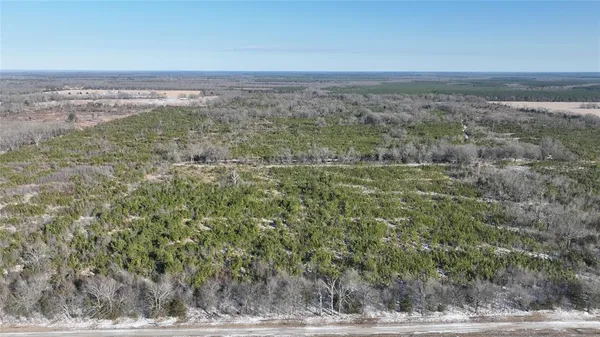 $3,060,018 | Tbd Tbd Fm-195, Bagwell, TX 75412