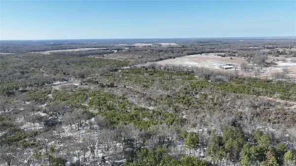 $3,060,018 | Tbd Tbd Fm-195, Bagwell, TX 75412