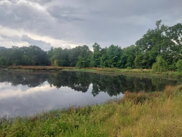 $3,060,018 | Tbd Tbd Fm-195, Bagwell, TX 75412