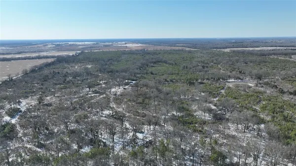 $3,060,018 | Tbd Tbd Fm-195, Bagwell, TX 75412