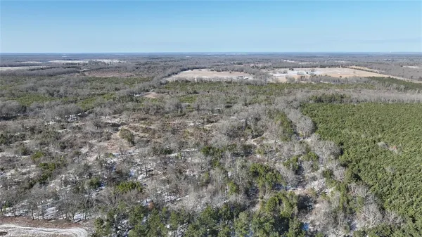 $3,060,018 | Tbd Tbd Fm-195, Bagwell, TX 75412