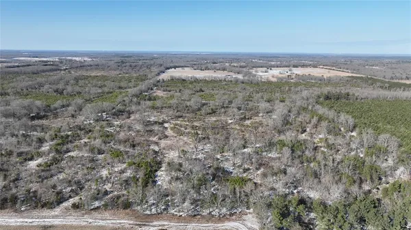 $3,060,018 | Tbd Tbd Fm-195, Bagwell, TX 75412