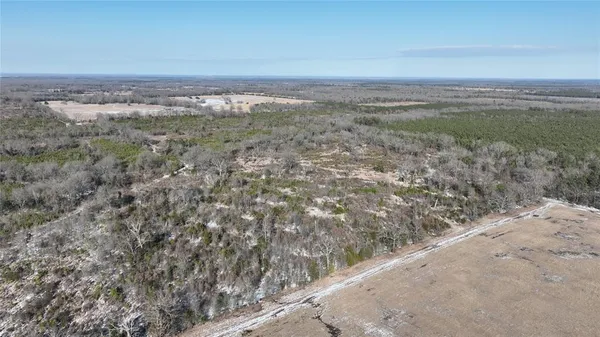$3,060,018 | Tbd Tbd Fm-195, Bagwell, TX 75412