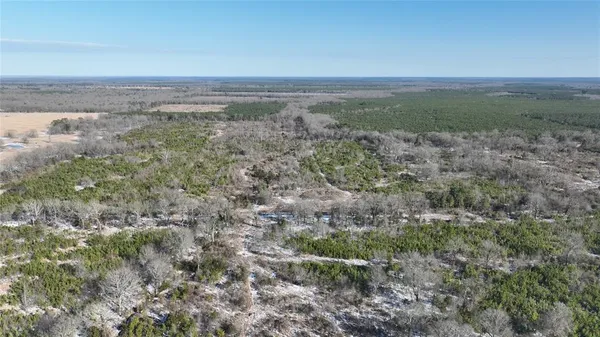 $3,060,018 | Tbd Tbd Fm-195, Bagwell, TX 75412