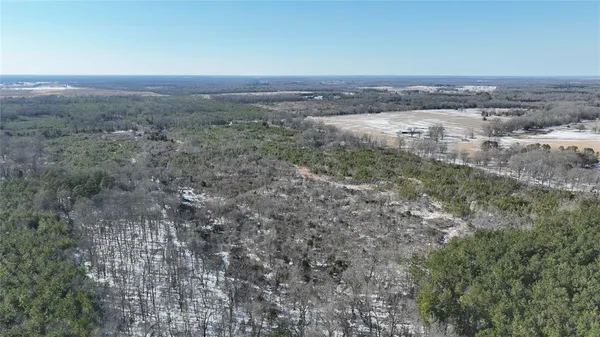 $3,060,018 | Tbd Tbd Fm-195, Bagwell, TX 75412