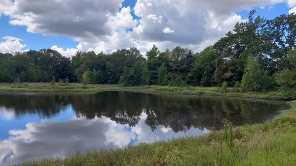 $3,060,018 | Tbd Tbd Fm-195, Bagwell, TX 75412