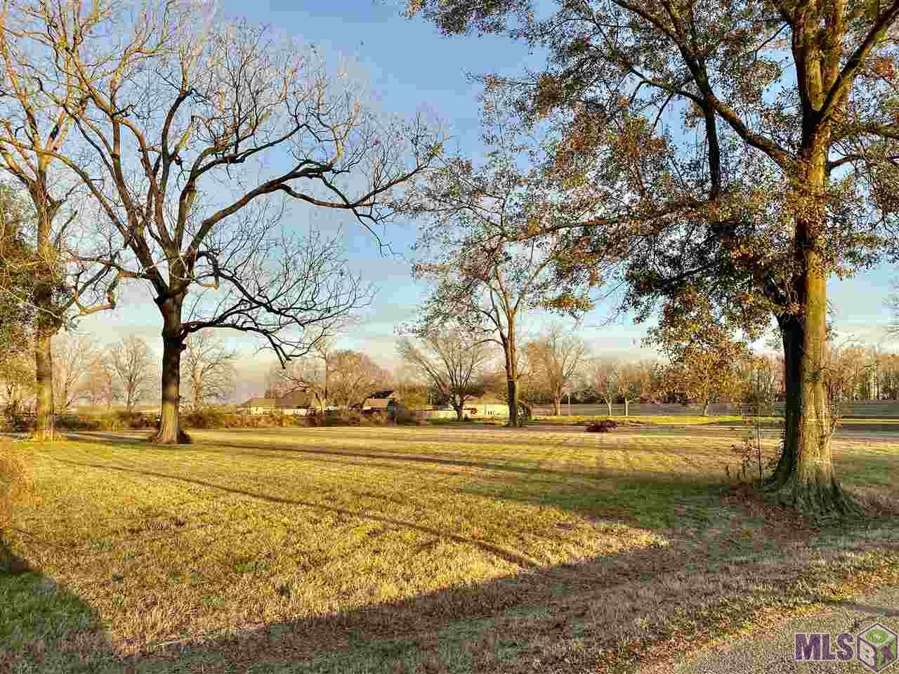3116 Stanford Levy Road Darrow, LA 70725 - Photo 1 of 6 Gallery Image 1