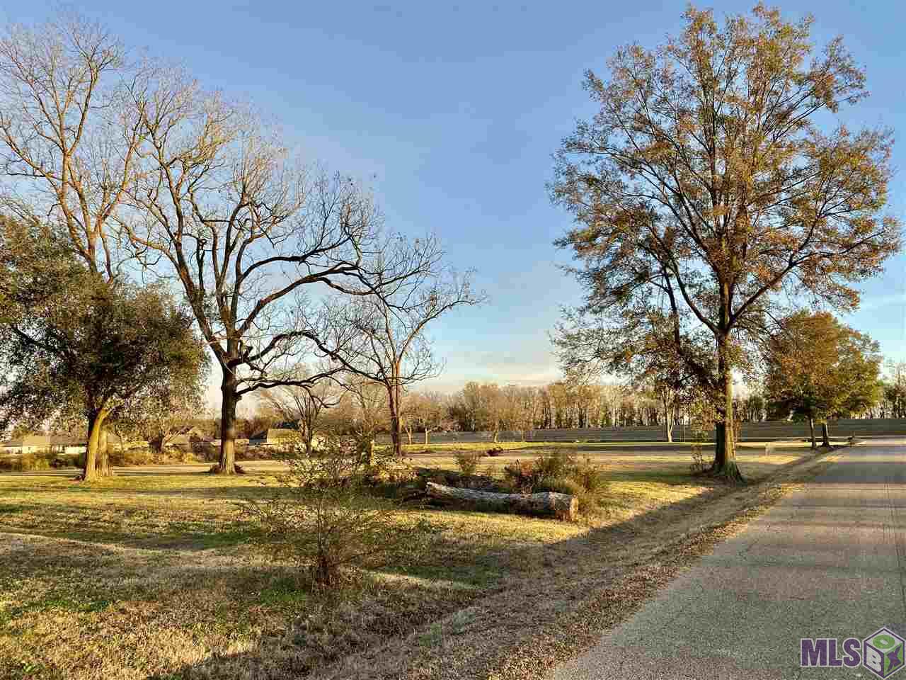 3116 Stanford Levy Road Darrow, LA 70725 - Photo 2 of 6 Gallery Image 2