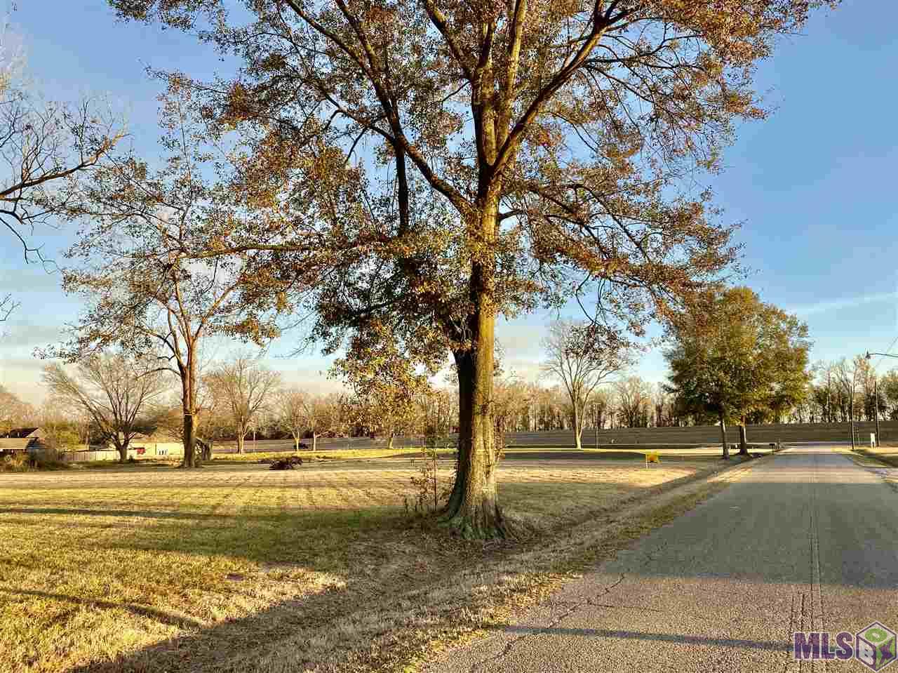 3116 Stanford Levy Road Darrow, LA 70725 - Photo 6 of 6 Gallery Image 6