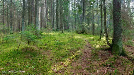 $240,000 | Overlook Drive, Tamaqua, PA 18252