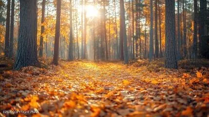 $240,000 | Overlook Drive, Tamaqua, PA 18252