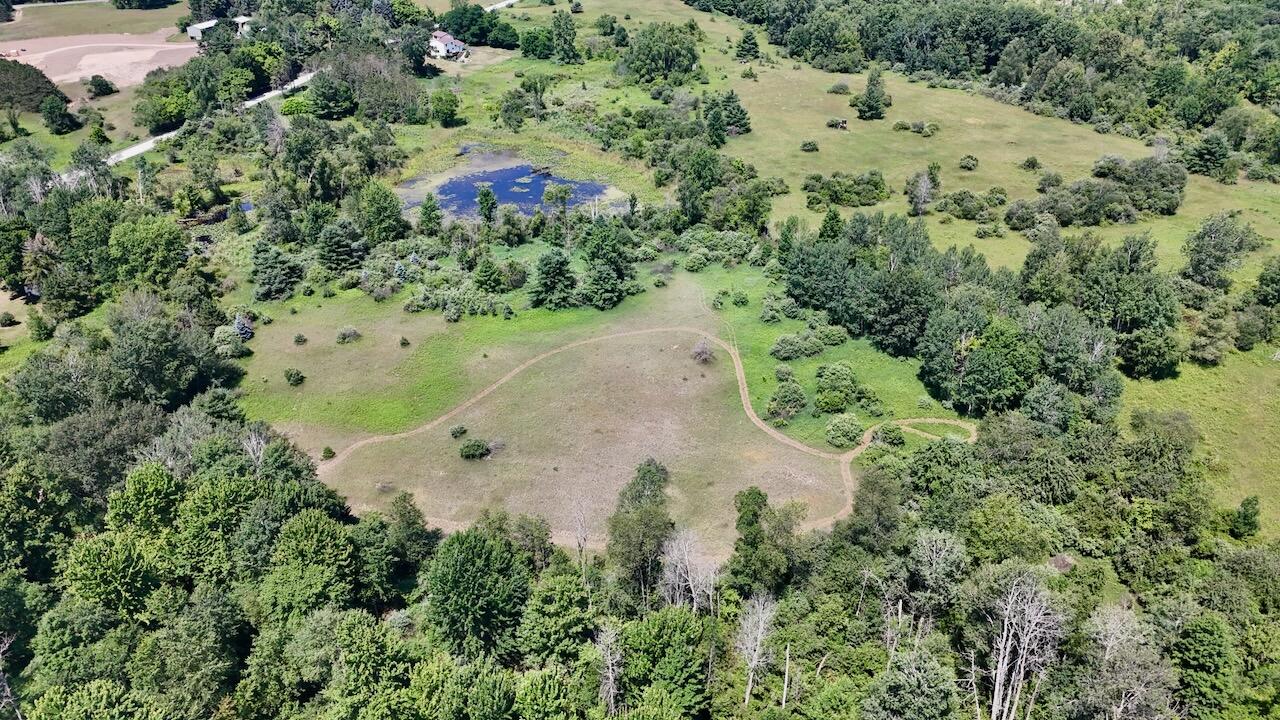 4718 Church Road Six Lakes, MI 48886 - Photo 3 of 76 003