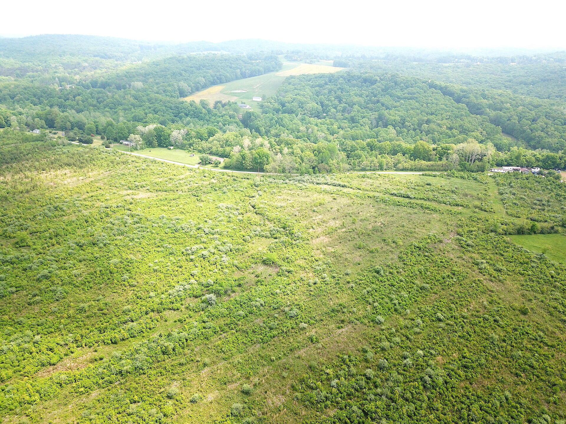 0 Beatty Road Waverly, OH 45690 - Photo 10 of 28 DJI_0982