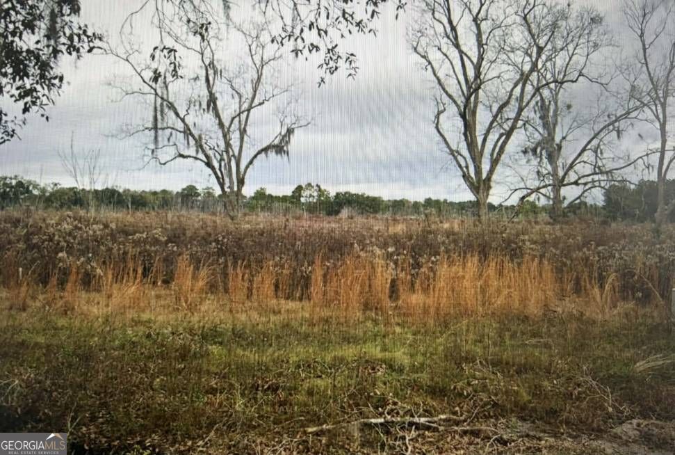 3941 Fender Road Valdosta, GA 31601 - Photo 4 of 5