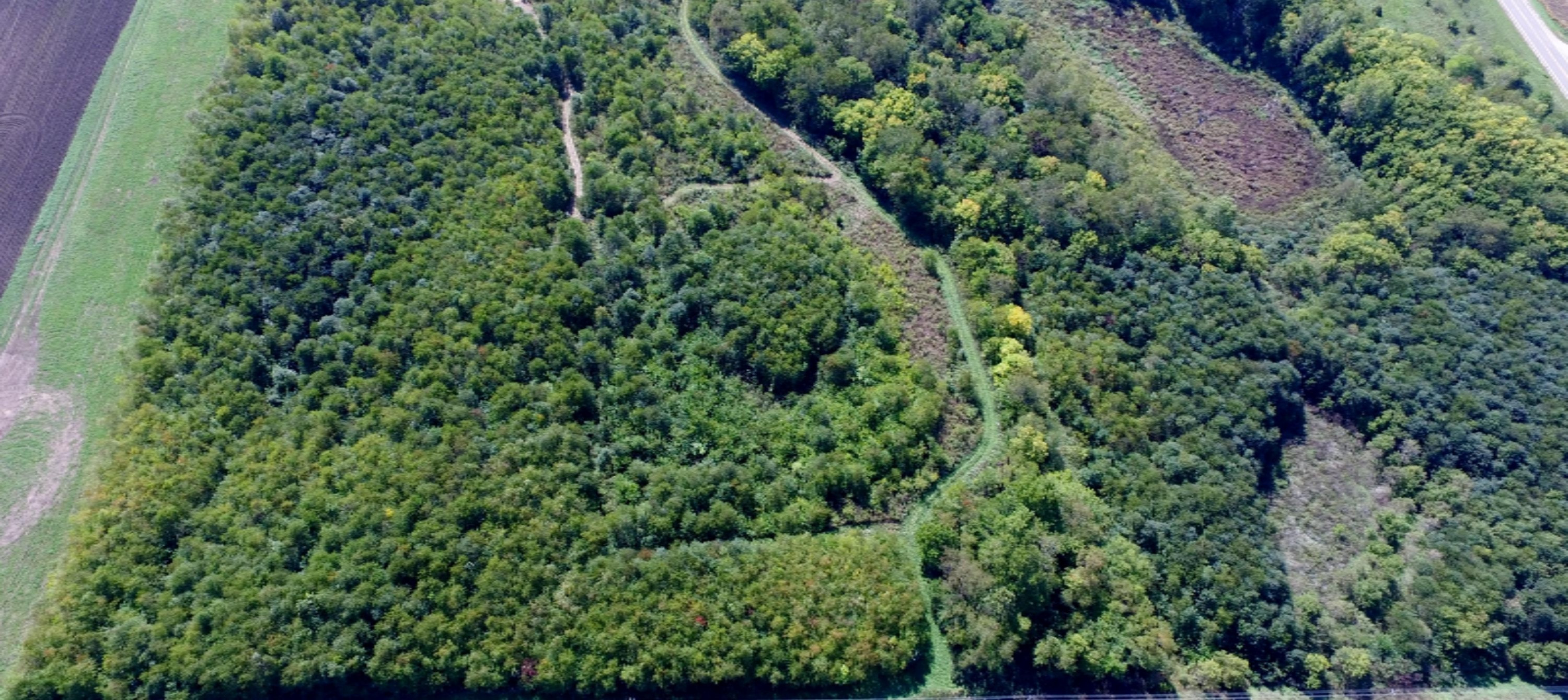 59065 Dailey Road Dowagiac, MI 49047 - Photo 7 of 7 DJI_0010