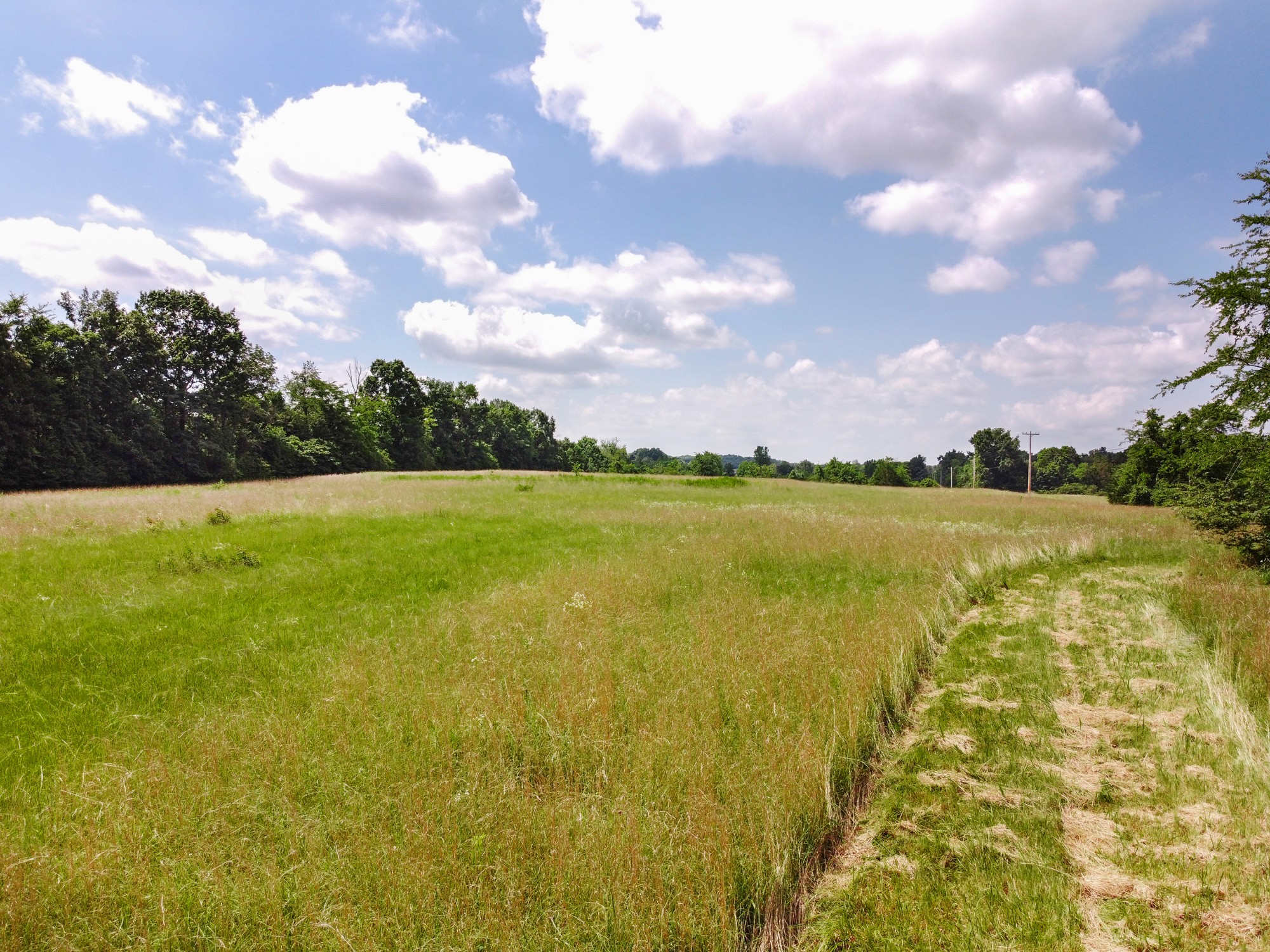 0 Sims Road Shelbyville, TN 37160 - Photo 16 of 22 Gallery Image 16