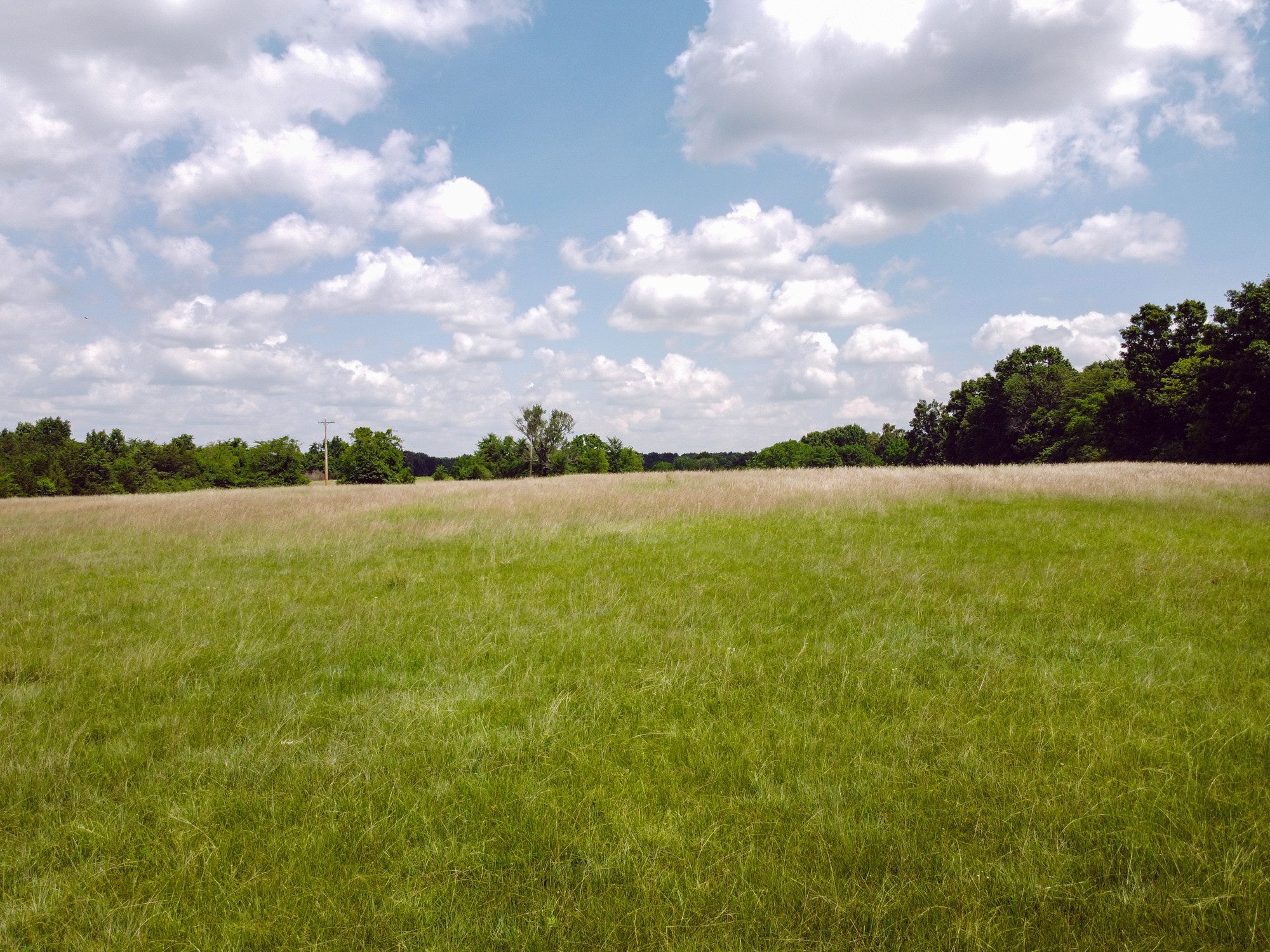 0 Sims Road Shelbyville, TN 37160 - Photo 5 of 22 Gallery Image 5