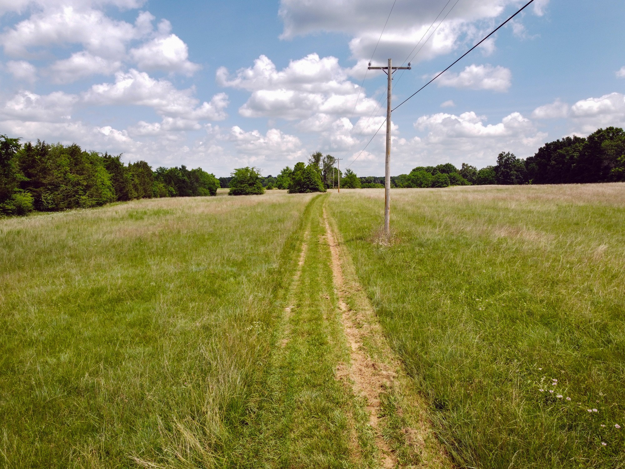 0 Sims Road Shelbyville, TN 37160 - Photo 6 of 22 Gallery Image 6