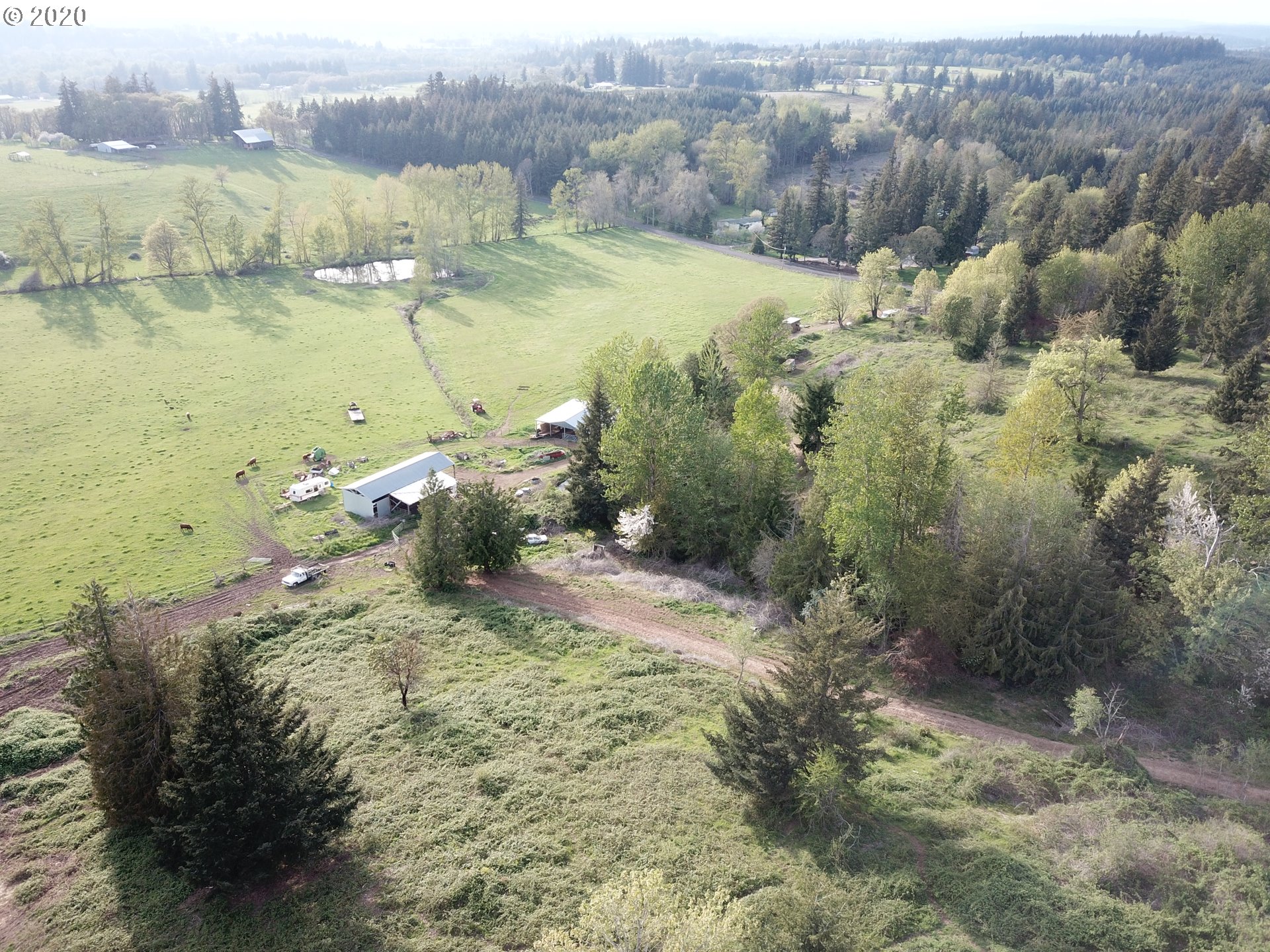 17662 South Callahan Road Molalla, OR 97038 - Photo 20 of 31 Gallery Image 20