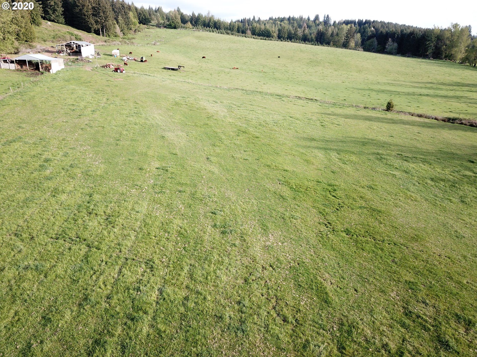 17662 South Callahan Road Molalla, OR 97038 - Photo 23 of 31 Gallery Image 23