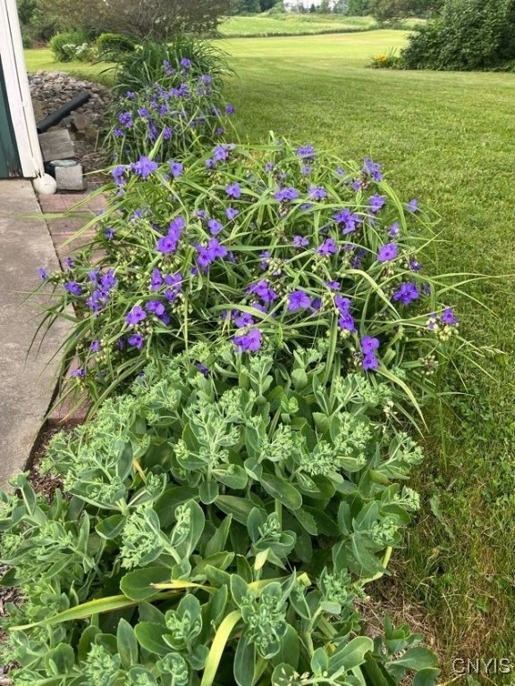 3374 Cody Road Fenner, NY 13035 - Photo 44 of 50