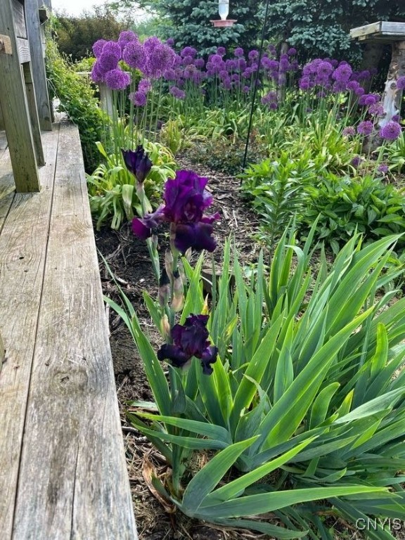 3374 Cody Road Fenner, NY 13035 - Photo 47 of 50