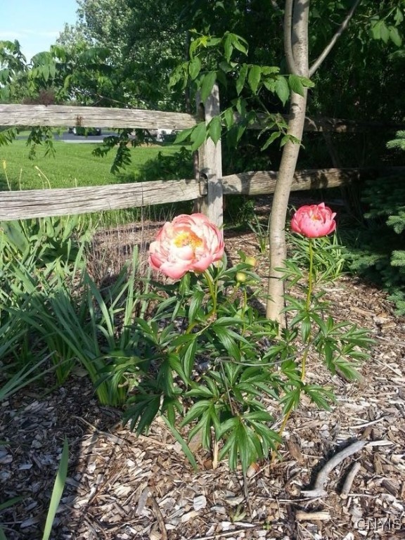 3374 Cody Road Fenner, NY 13035 - Photo 49 of 50