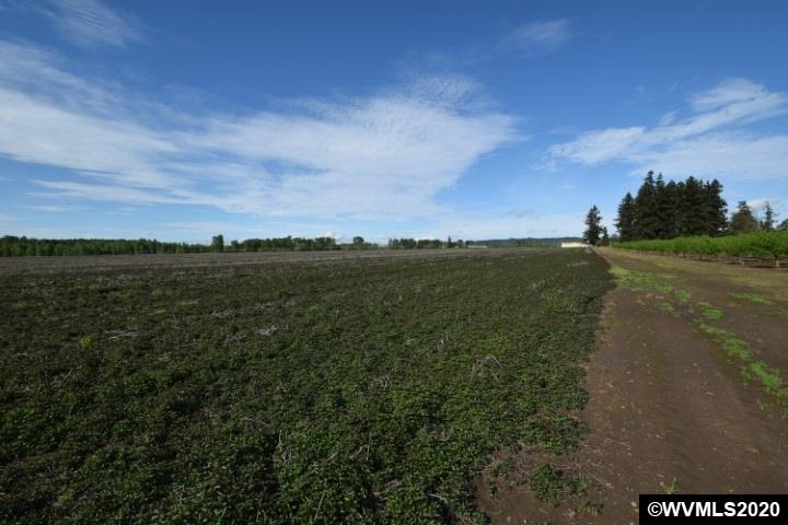 8568 Stayton (- 8588) Road Turner, OR 97392 - Photo 16 of 16 Gallery Image 16