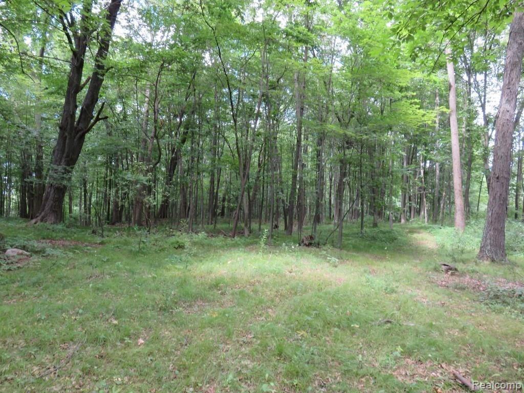 2673 Brighton Road Howell, MI 48843 - Photo 58 of 62 IMG_2665 (Custom).JPG