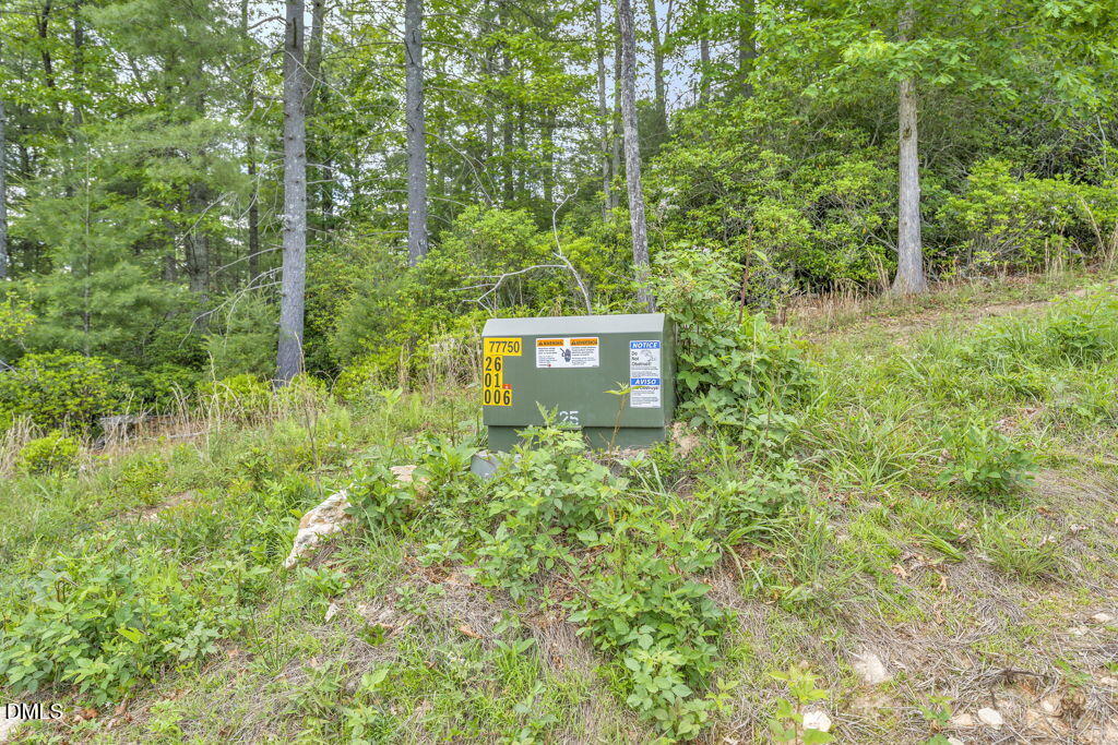 488 Dewitt Road Sparta, NC 28675 - Photo 16 of 17