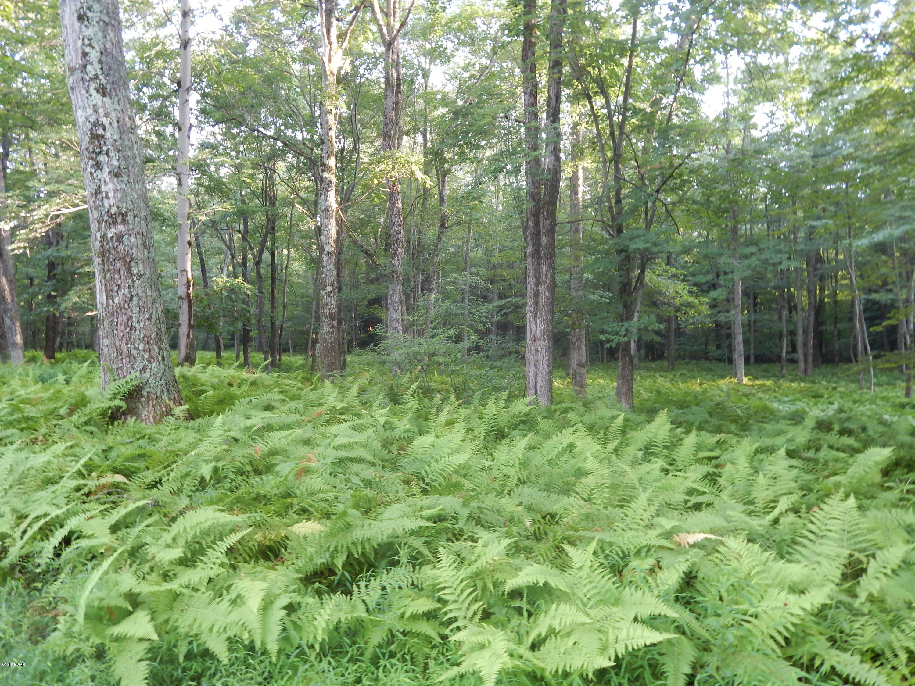 156 3 Legged Swamp Road Canadensis, PA 18325 - Photo 72 of 72
