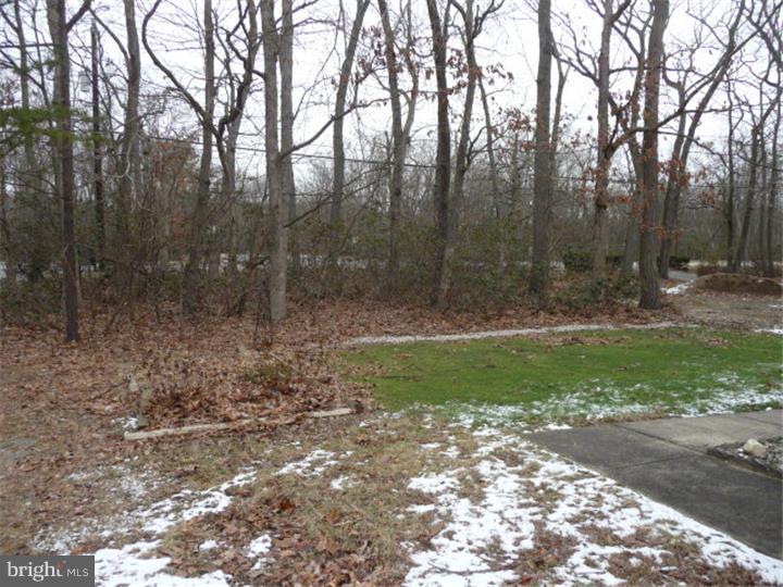 591 Pinehurst Road New Egypt, NJ 08533 - Photo 16 of 25 Gallery Image 16