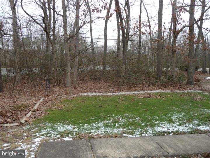 591 Pinehurst Road New Egypt, NJ 08533 - Photo 18 of 25 Gallery Image 18