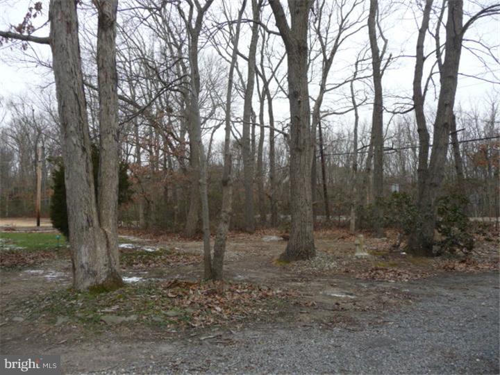 591 Pinehurst Road New Egypt, NJ 08533 - Photo 19 of 25 Gallery Image 19
