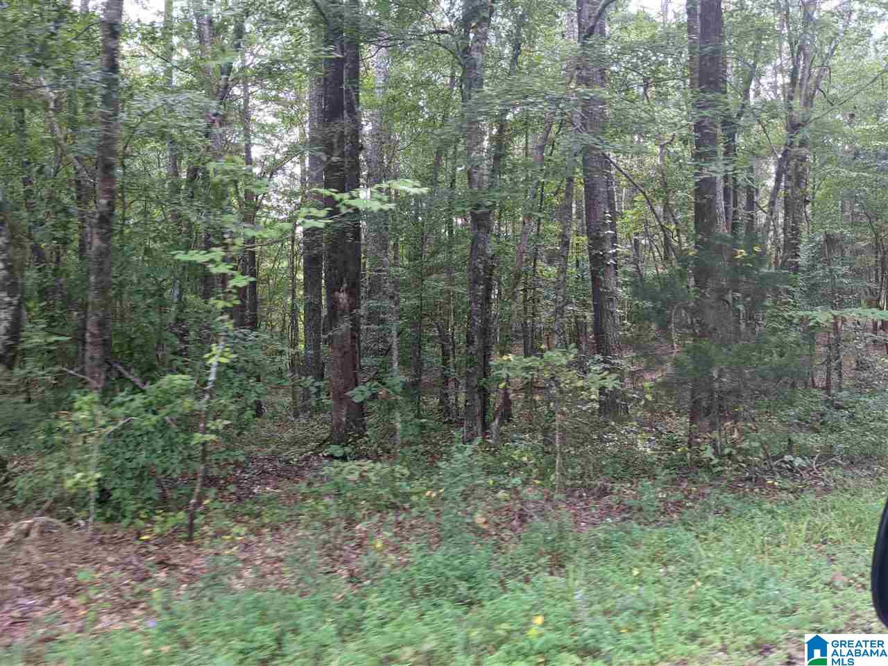 0 Smith Avenue, Unit 3 2 Anniston, AL 36207 - Photo 32 of 43
