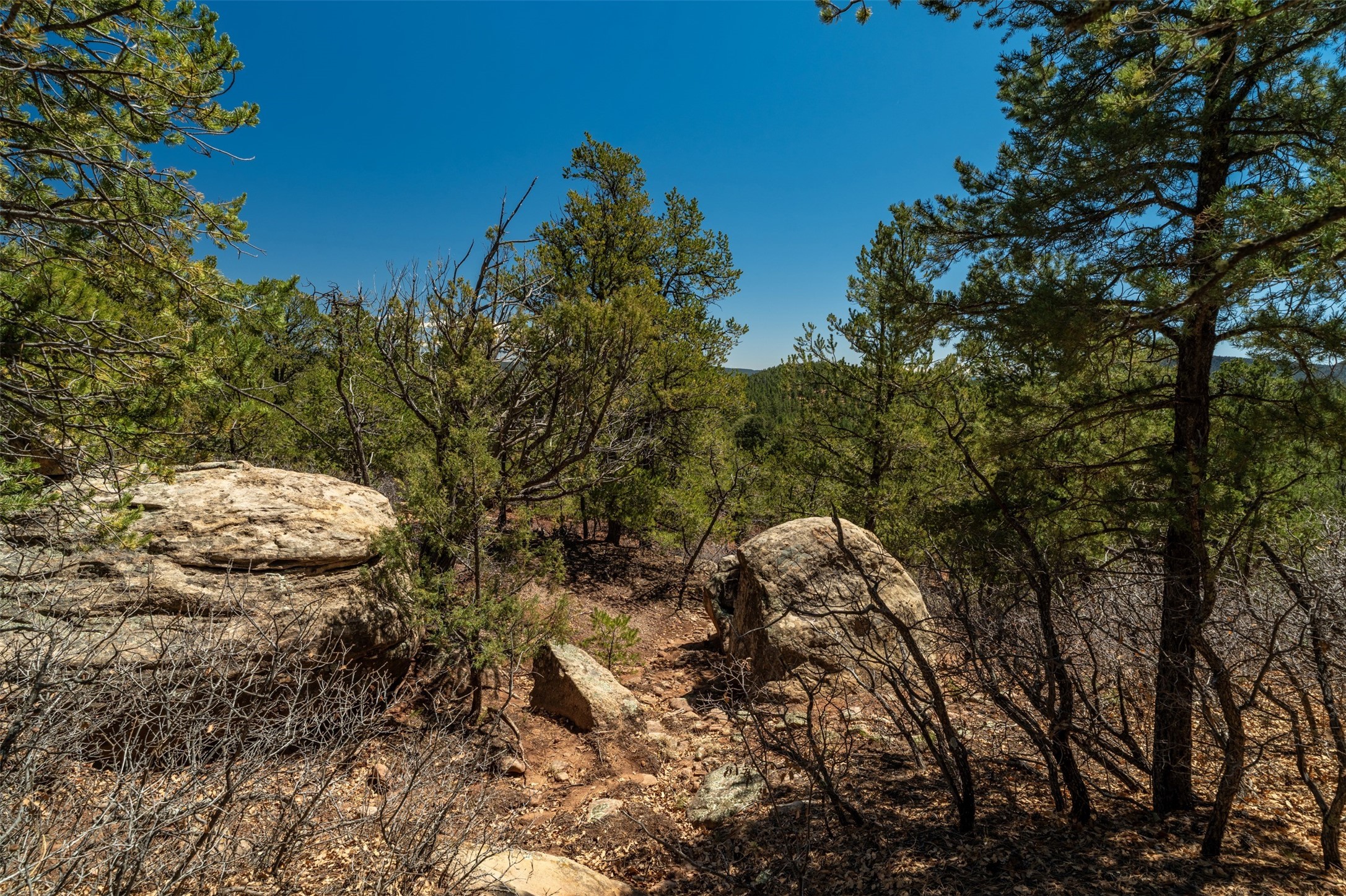 30 Monte La Cueva Road Glorieta, NM 87535 - Photo 79 of 91