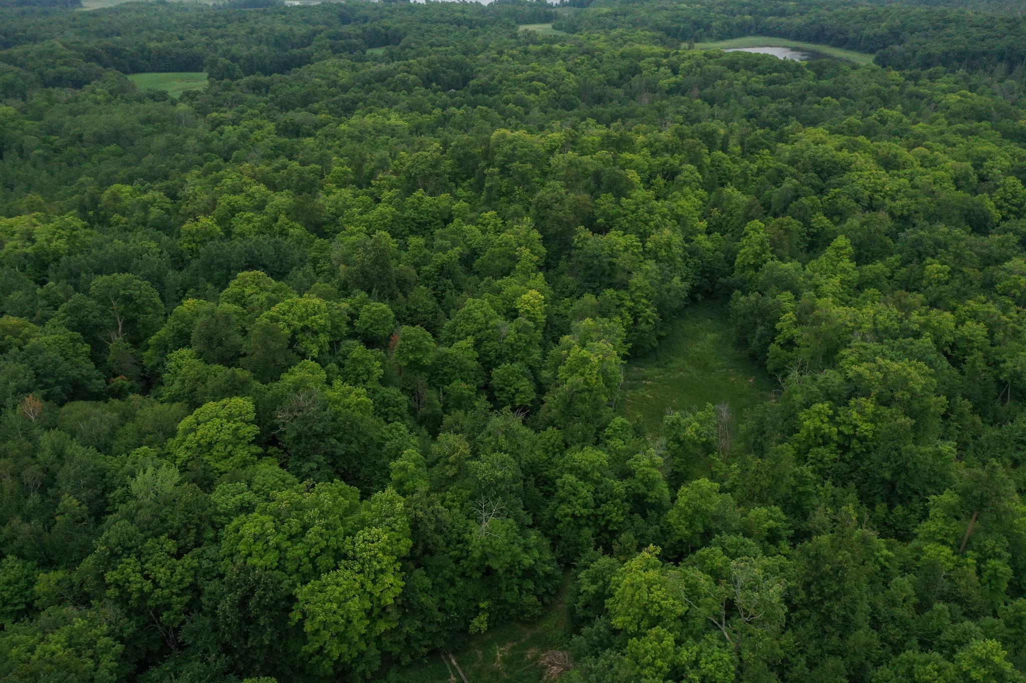 Tbd North Cotton Lake Road Rochert, MN 56578 - Photo 10 of 31 Gallery Image 10
