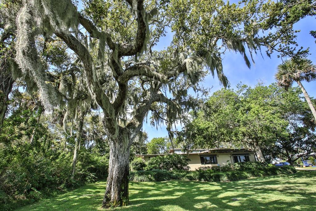 238 North Riverside Drive Edgewater, FL 32132 - Photo 6 of 44 Gallery Image 6
