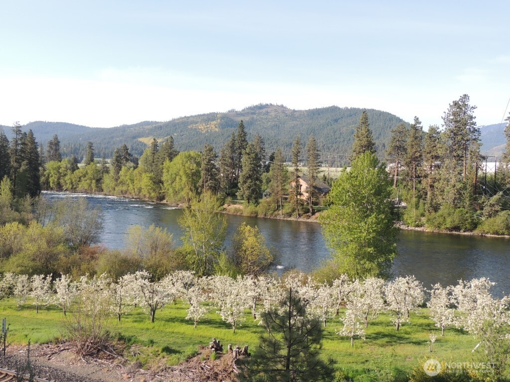 a view of a lake with a mountain in the background