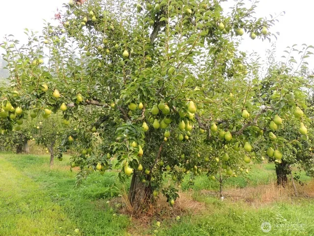 $599,000 | 9291 Pakascwa Road, Peshastin, WA 98847